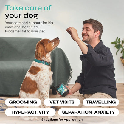 ZenPup Chews